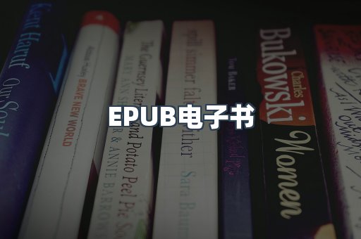 EPUB电子书
