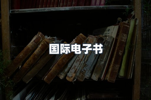 国际电子书